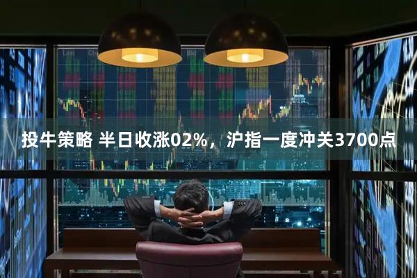 投牛策略 半日收涨02%，沪指一度冲关3700点