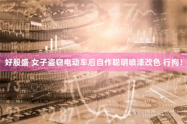 好股盛 女子盗窃电动车后自作聪明喷漆改色 行拘！