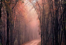 杭州配资开户:股票怎么杠杆-上海合作组织成员国元首理事会关于加强数字经济发展的声明